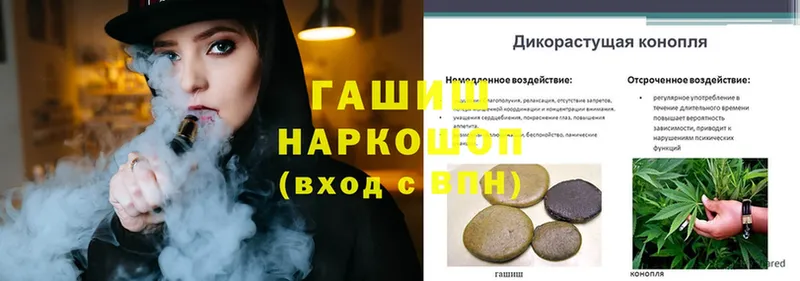 ГАШ Cannabis  Котельнич 