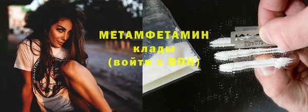 прущие грибы Нефтекумск