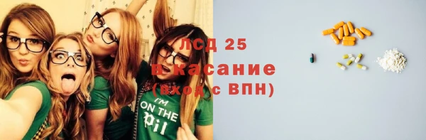 прущие грибы Нефтекумск