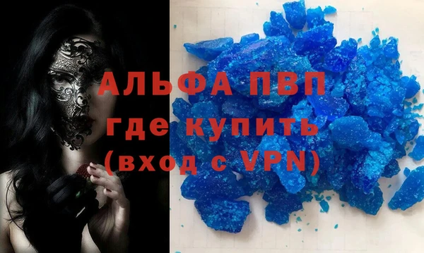 прущие грибы Нефтекумск