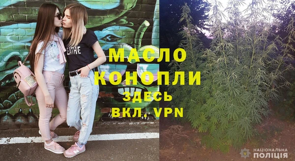 прущие грибы Нефтекумск