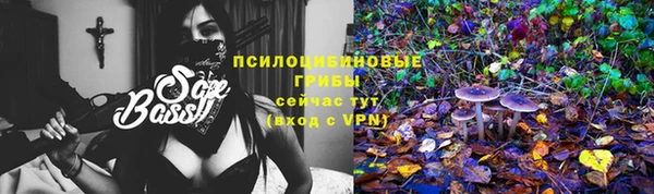 apvp Нея