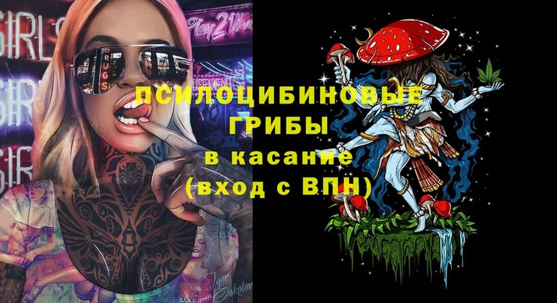 Псилоцибиновые грибы прущие грибы  Котельнич 