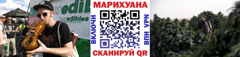 Конопля OG Kush  Котельнич 